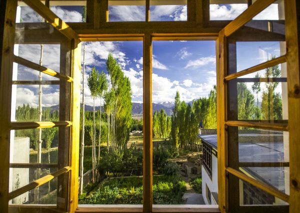 Wood Window Replacement in Escondido