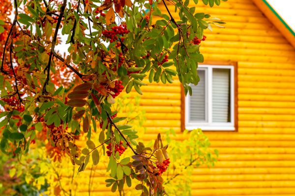Cost of Garden Window Replacement in Escondido